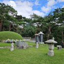 금산2리 이미지