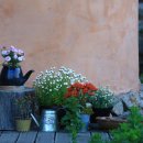 풀꽃펜션 이미지