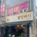 달빛돼지 이미지