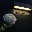 바라꽃집