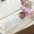 (주)지율 | 반가워 아기천사 지율아👼🏻/ 제왕절개 입원일기 /둘째 제왕절개 회복이야기