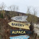 가평 양떼목장 | 🐏가평 양떼목장 체험 후기:) 데이트/가족여행시 힐링 코스 추천!💛