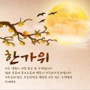 대덕대로234번길 이미지