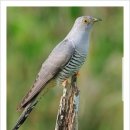 한두 어르신사랑방 이미지