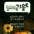 금곡공인중개사사무소 이미지