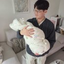 왈츠 동물병원 | [임신 일기 : 39주차 &amp; 드디어 만난다!] 소소한 결혼기념일 보내기 🕊️ / 마지막 검진 &amp; 첫눈 👣 / 마지막...