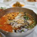 싱싱물회 이미지