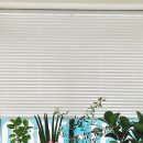 화이트 행정사사무소 이미지