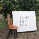 서귀포감귤농장