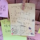 강화도펜션추천,강화다온펜션(다온게스트하우스)/ 다온을 향한 따뜻한 후기 모음