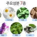 피부완정연구소 이미지