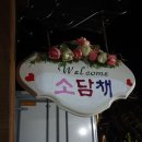 소담채 이미지