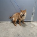 압량읍사무소 이미지