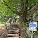 고모리보리밥 | 고모리 민들레울(내돈내산).포천가족여행.#부모님식사추천.가족모임.대가족식사