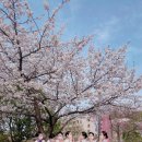 스카이21 이미지