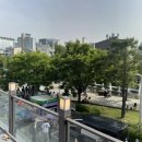 연남동꽃집::경의선숲길 해리스플라워 내돈내산 후기