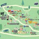 배꽃다방 이미지