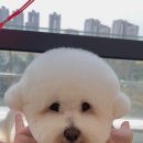 쓰리빈 이미지