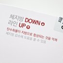 퍼펙트다이어트