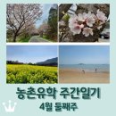 보성 농촌유학 주간일기 4월 둘째주 / 정남진어린이과학관 / 장흥 유채꽃밭 / 수문해수욕장 / 광주...