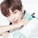 순수클린 이미지