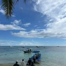 스쿠버다이버의집 | 보홀 스쿠버다이빙 블루워터다이브 4일차 발리카삭 다이빙(바라쿠다, 잭피쉬) 후기