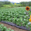 원선농장 이미지