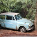 호림한의원 이미지