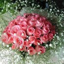 반송로 853 이미지