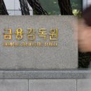 금융감독원 이미지