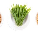 소화온누리약국 이미지