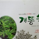 생약건강원 네이버블로그
