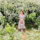 (여행) “눈꽃처럼 하얗게 피어난 봄 꽃나무” 5월에 가볼 만한 이팝나무 전국 명소 이미지