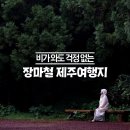 장마철 가기 좋은 제주여행지 모음