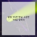 서울애견 이미지