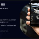 파란프로세스