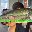 신원낚시터 이미지