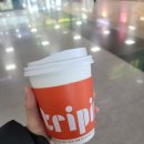 트리핀(Tripin) 이미지