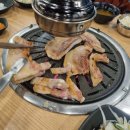 법인하누