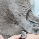 모란시장 주변 이미지
