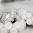 주식회사 마리요리 이미지