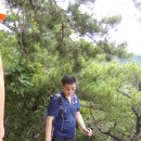 비봉길 이미지