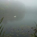 오크랜드 이미지