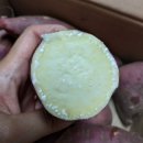 맛샘농장 네이버블로그