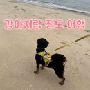 목포해오름 | 강아지랑 다녀온 진도 여행코스