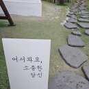 거북이의 꿈 이미지