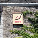 퐁낭아래 이미지