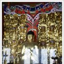 상주 남장사 보광전 목각아미타여래설법상 이미지