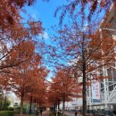 조물락공작소 | 한밭수목원에서 가을의 추억을 만들다 '부모님과 함께하는 조물락조물락' 수업 후기