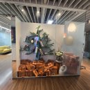 라셀라웰즈의원 이미지